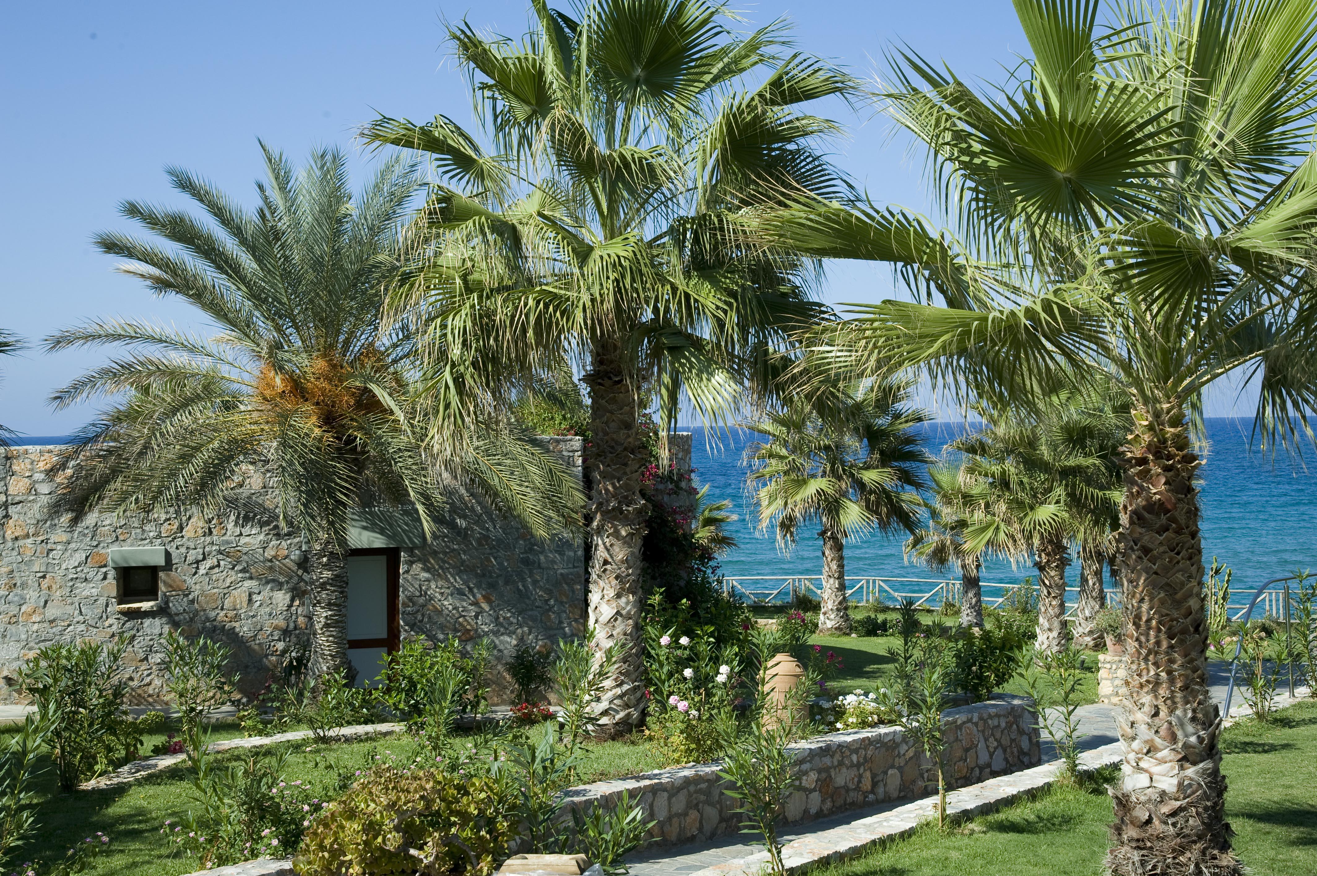 Ikaros Beach, Luxury Resort & Spa - Adults Only Malia Esterno foto